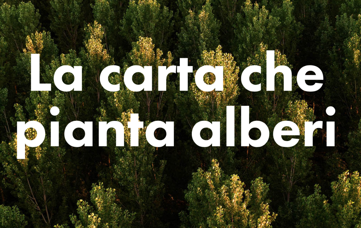 Cartiere Carrara S.p.a. “La carta che pianta alberi”