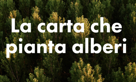 Cartiere Carrara S.p.a. “La carta che pianta alberi”