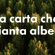 Cartiere Carrara S.p.a. “La carta che pianta alberi”